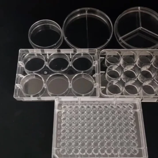 Contenedor disponible del cultivo celular de las placas de Petri del plástico 90X15m m placa de Petri de 9 cm